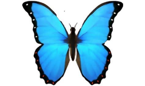 Papillon Emoji .